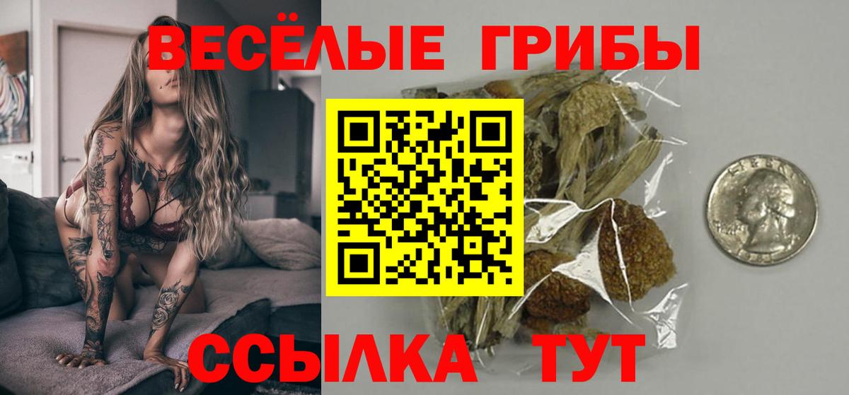 Галлюциногенные грибы Psilocybe Ангарск