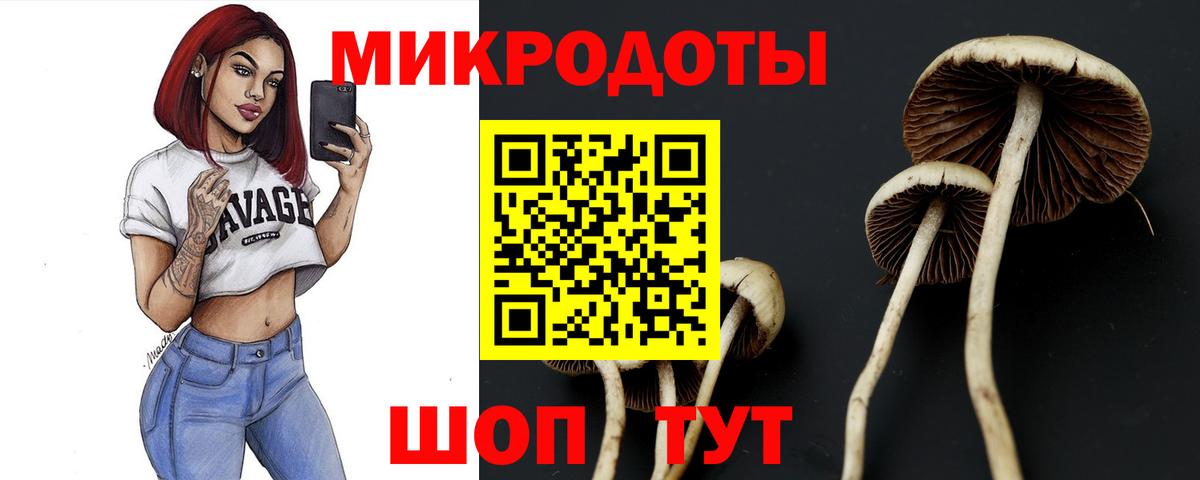 Ангарск  Галлюциногенные грибы Psilocybine cubensis  Псилоцибиновые грибы мицелий  Вход с VPN 